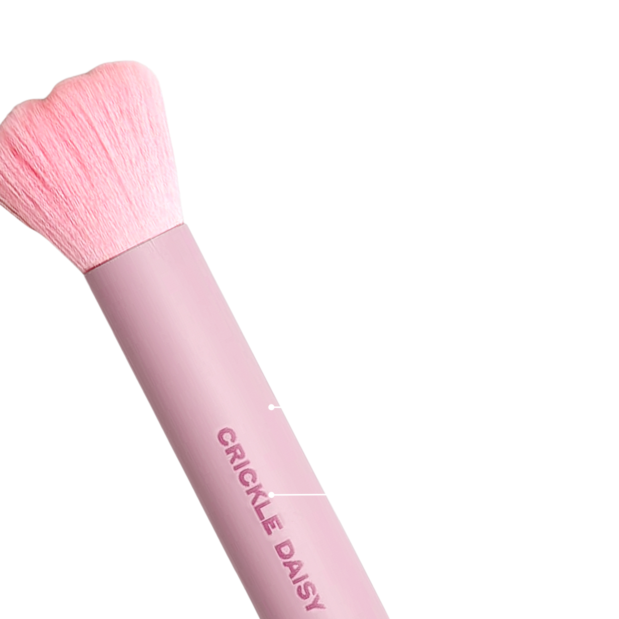 pink_brush_crickle_daisy.png