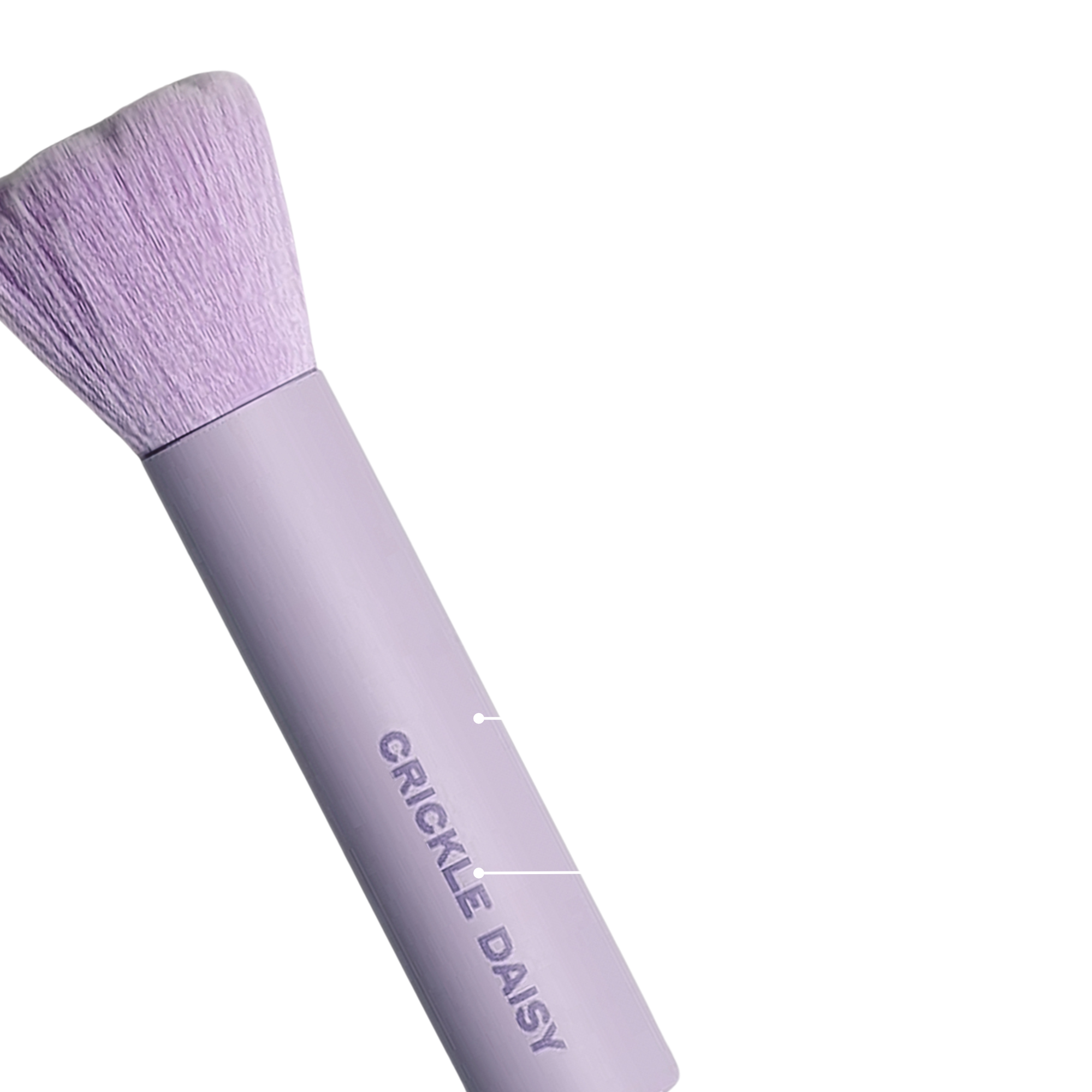 purple_brush_crickle_daisy.png