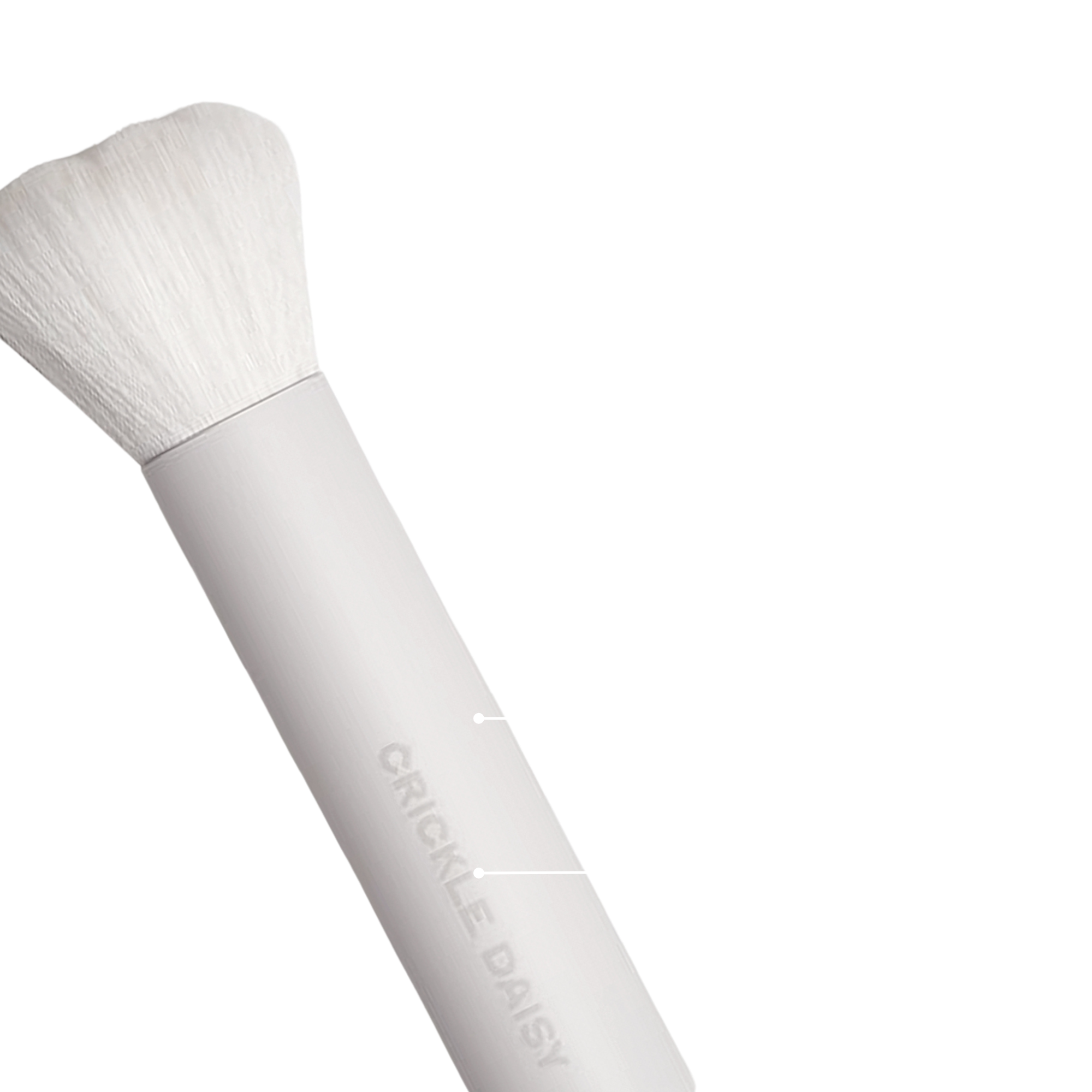 white_brush_crickle_daisy.png